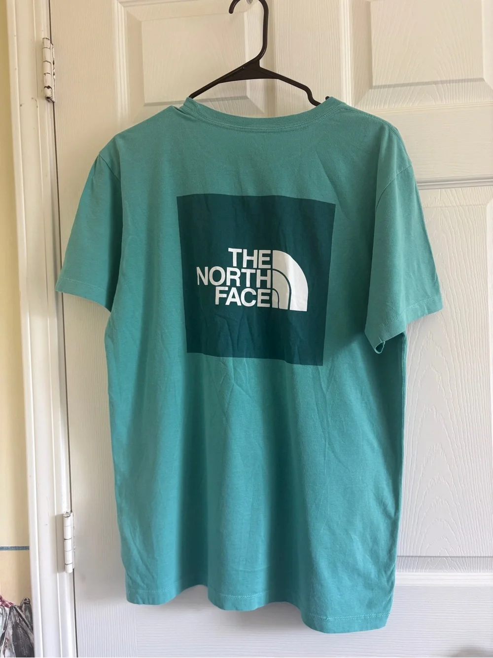 The North Face Men's Short Sleeve Tee in Teal Green
